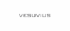 Vesuvius GmbH