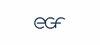 egf - Eduard G. Fidel GmbH